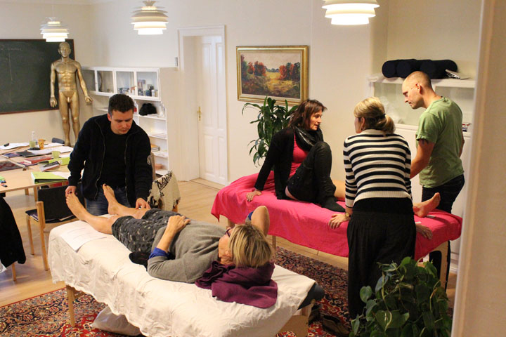 akupunkturuddannelse undervisning