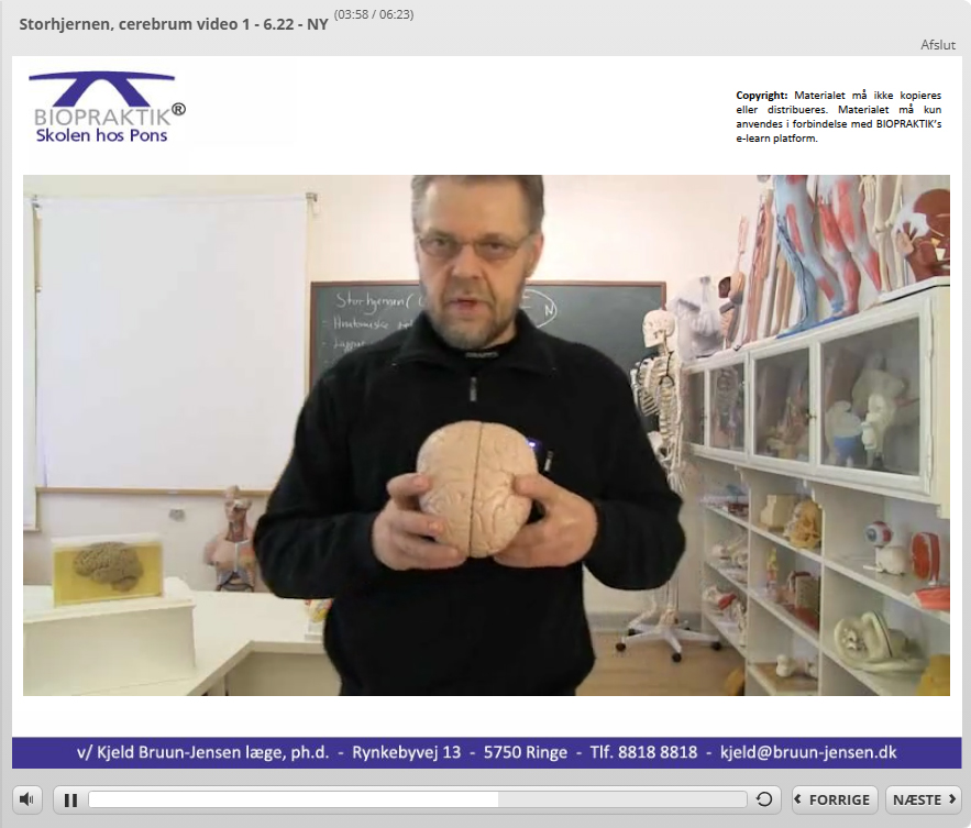 eksempler på e-learning i anatomi