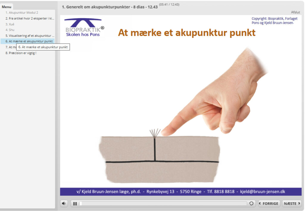 Eksempler på e-learning i akupunktur