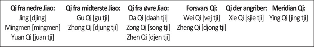 Introduktion til Qi