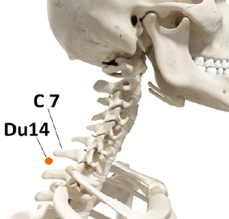 Cun udmåling på hovedet 3