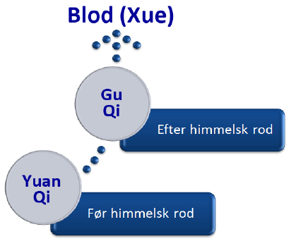 Gu Qi (Føde Qi)