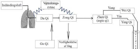 Zong Qi (Brystkasse Qi eller Samlende Qi)