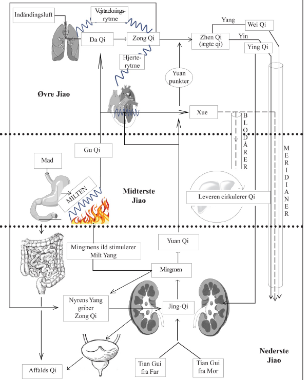 Samlet overblik over Qi Flow