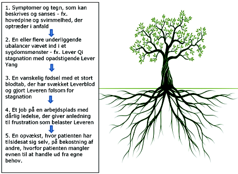 Afrunding: Sygdommens synlige og skjulte lag