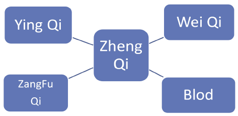 Zheng Qi: Overskud (Shi) og underskud (Xu)