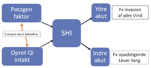 Zheng Qi: Overskud (Shi) og underskud (Xu)