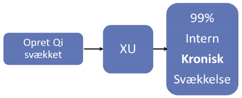 Zheng Qi: Overskud (Shi) og underskud (Xu)