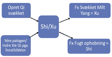 Zheng Qi: Overskud (Shi) og underskud (Xu)