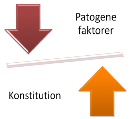 Zang-Fu organernes klimatiske følsomhed