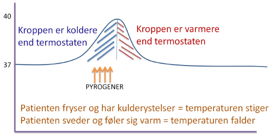 En klimatisk faktor kan omdannes til en anden