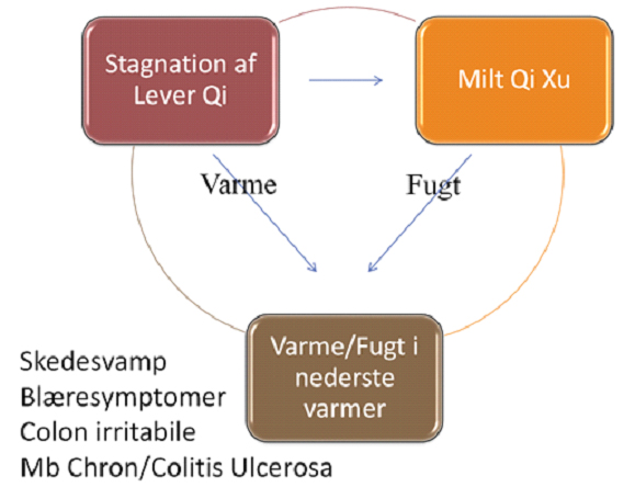 Fugt-Varme: Den patologiske triade